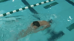 20180620001.gif