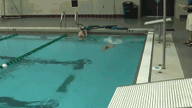20180620007.gif