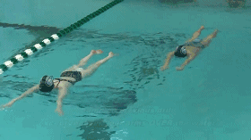 20180620009.gif