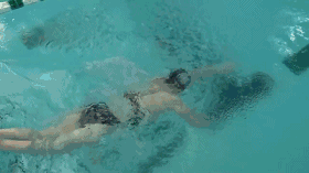 201806200010.gif