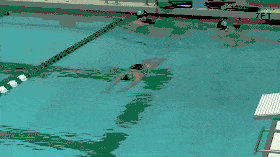 201806200012.gif